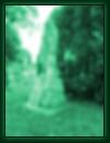 (173/215): 