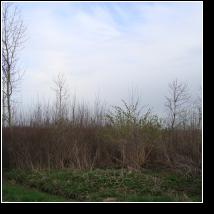 (29/171): 2010; foto Henryk Kulik