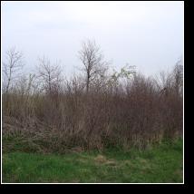 (30/171): 2010; foto Henryk Kulik