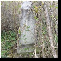 (32/171): 2010; foto Henryk Kulik
