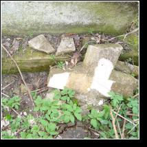 (35/171): 2010; foto Henryk Kulik