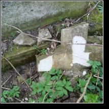 (39/171): 2010; foto Henryk Kulik