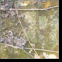 (51/171): 2010; foto Henryk Kulik