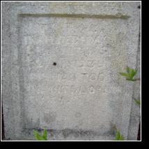 (56/171): 2010; foto Henryk Kulik