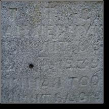 (59/171): 2010; foto Henryk Kulik