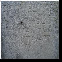 (60/171): 2010; foto Henryk Kulik