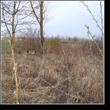 (63/171): 2010; foto Henryk Kulik