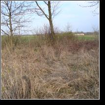 (65/171): 2010; foto Henryk Kulik