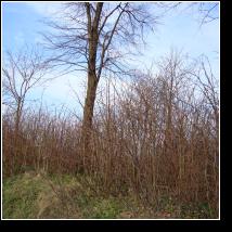 (70/171): 2010; foto Henryk Kulik