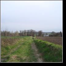 (71/171): 2010; foto Henryk Kulik