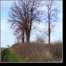 (72/171): 2010; foto Henryk Kulik