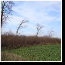 (73/171): 2010; foto Henryk Kulik
