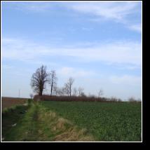 (74/171): 2010; foto Henryk Kulik