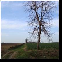 (75/171): 2010; foto Henryk Kulik