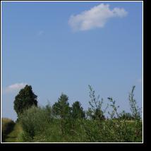 (76/171): 2012; foto Henryk Kulik