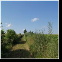 (77/171): 2012; foto Henryk Kulik