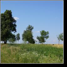 (78/171): 2012; foto Henryk Kulik