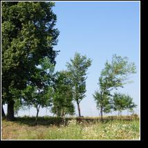 (79/171): 2012; foto Henryk Kulik