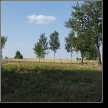 (81/171): 2012; foto Henryk Kulik