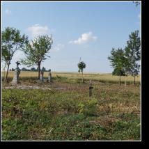 (82/171): 2012; foto Henryk Kulik