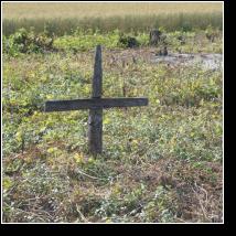 (83/171): 2012; foto Henryk Kulik