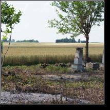 (85/171): 2012; foto Henryk Kulik