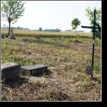 (90/171): 2012; foto Henryk Kulik