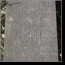 (93/171): 2012; foto Henryk Kulik
