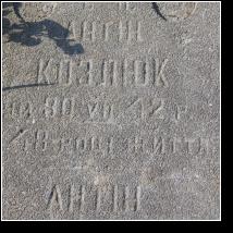 (96/171): 2012; foto Henryk Kulik