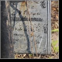 (98/171): 2012; foto Henryk Kulik
