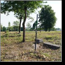 (103/171): 2012; foto Henryk Kulik