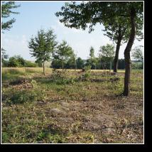 (104/171): 2012; foto Henryk Kulik