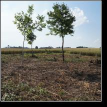 (106/171): 2012; foto Henryk Kulik