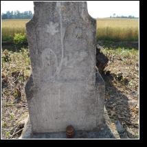 (113/171): 2012; foto Henryk Kulik