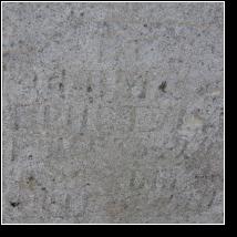 (118/171): 2012; foto Henryk Kulik