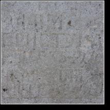 (119/171): 2012; foto Henryk Kulik