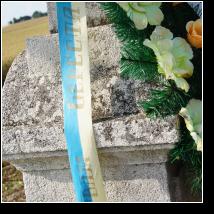 (124/171): 2012; foto Henryk Kulik