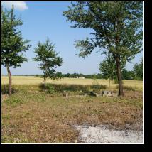 (129/171): 2012; foto Henryk Kulik