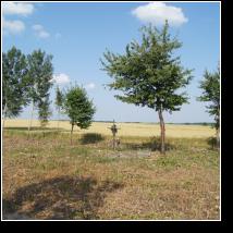 (130/171): 2012; foto Henryk Kulik