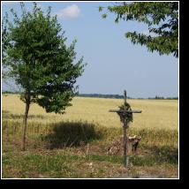 (131/171): 2012; foto Henryk Kulik