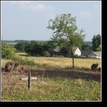 (132/171): 2012; foto Henryk Kulik