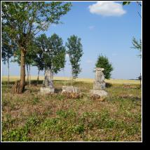 (137/171): 2012; foto Henryk Kulik