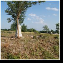 (138/171): 2012; foto Henryk Kulik
