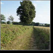 (139/171): 2012; foto Henryk Kulik