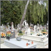 (3/53): 2012_zawalow_c_03.jpg
