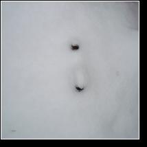 (44/55): 