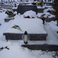 (1/31): 24.12.2011