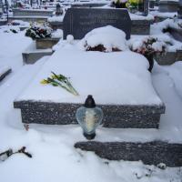 (2/31): 24.01.2011
