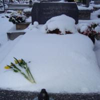 (3/31): 24.01.2011