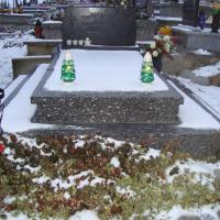 (29/31): 24.12.2011